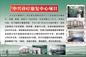 医疗项目简介