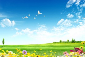 鲜花草地风景素材