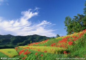 田野风光