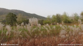 五乳岭秋景