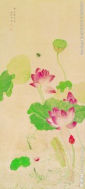 工笔荷花