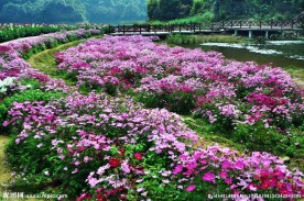 石门公园