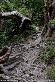 五指山