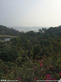 山水景色