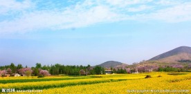 淮北南山