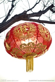 树上灯笼