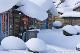 木屋白雪