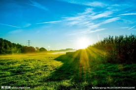 清晨绿色草地日出图片