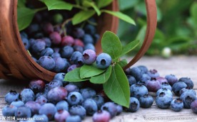 蓝莓