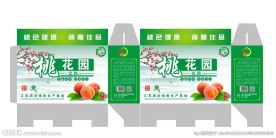 水果包装盒