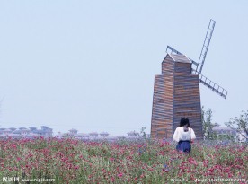 春天薰衣草花海与女孩
