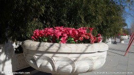 花盆