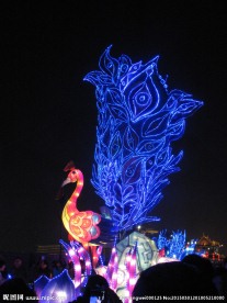 彩灯孔雀