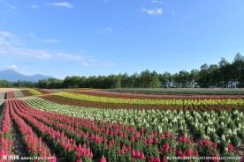 北海道