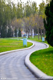 林间小道