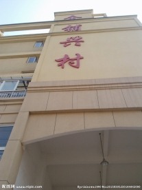桐城市大关镇金铺兴村小区