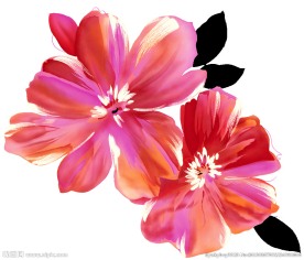 花 花素材 水墨花 花图片