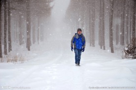 雪中
