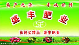 盛丰