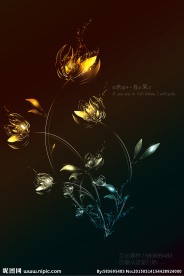绚丽的花朵