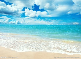 大海