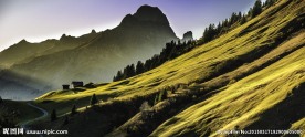 阳光下的山坡
