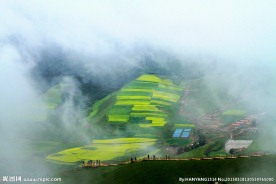 绿色田园风光