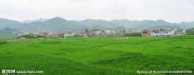 广南田园风光