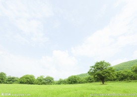 草地