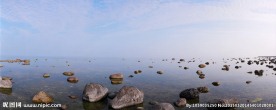 河水石头