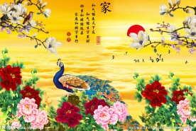 孔雀图
