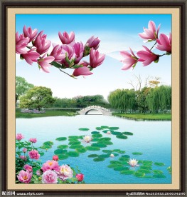 风景画玉兰花