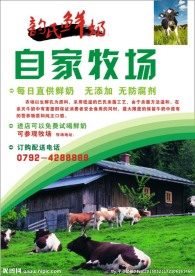 鲜奶海报