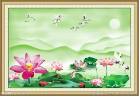 荷花风景