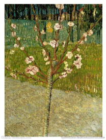 梵高名画油画花季的巴旦杏