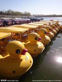 大黄鸭脚踏船