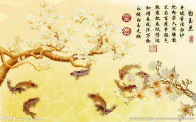 九鱼玉兰花