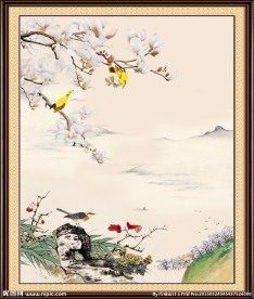 花鸟