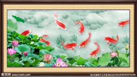 荷花九鱼图