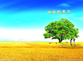 收获的季节