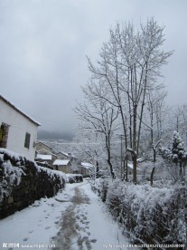 乡村雪景