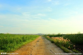 青草小路