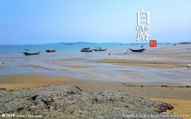 白露