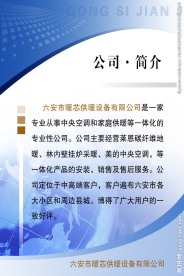公司简介