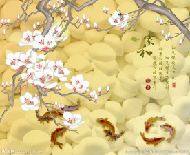 玉兰花