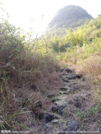 家乡的山