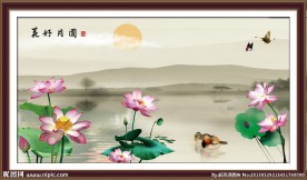 荷花风景
