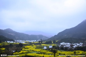 婺源江岭风光