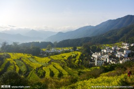 婺源江岭梯田