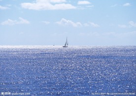大海与岛屿